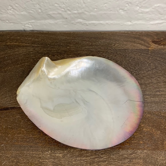 Anthropologie Other - Anthropologie Style Pearlescent Capiz Seashell Decorative Trinket Dish